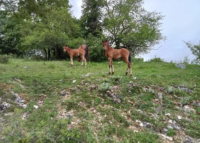 Il Borgo Della Zittola