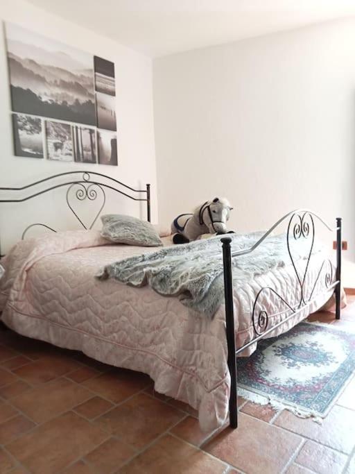 Il Borgo Della Zittola * Montenero Val Cocchiara
