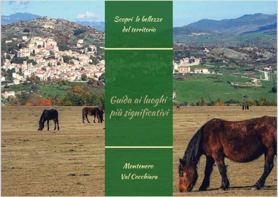 Il Borgo Della Zittola * Montenero Val Cocchiara